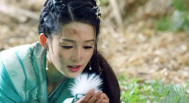 真实的元淳公主原型,幼年家中变故沦落为奸臣家妓,结果十分凄惨