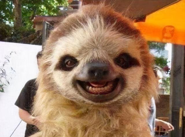 沈以诚,唱出了多少独居青年理想的生活