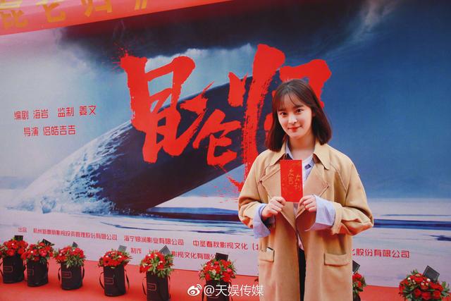 从《永不瞑目》到《五星大饭店》,辉煌后的海岩为何再也没有作品