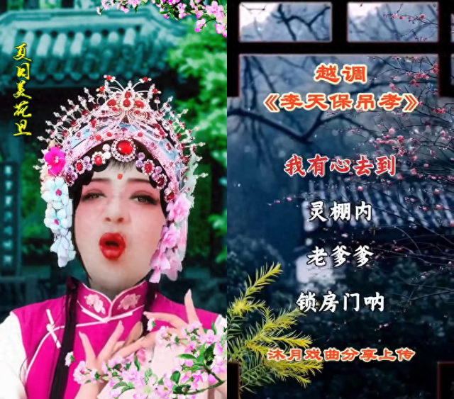 沐月戏曲分享:《李天保吊孝》