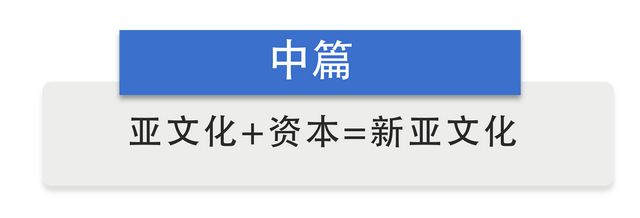 半月谈|从“杀马特”到“鬼畜”,中国网络的数百种“亚文化”圈层正在发生什么?