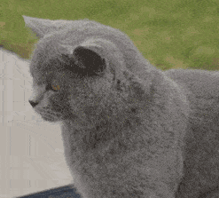 那个年代，她几乎是所有中国男孩的初恋