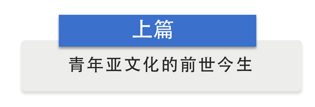 半月谈|从“杀马特”到“鬼畜”,中国网络的数百种“亚文化”圈层正在发生什么?