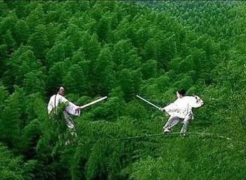 时隔25年,章子怡重返《卧虎藏龙》取景地,当年曾身挂25公斤铅块下水