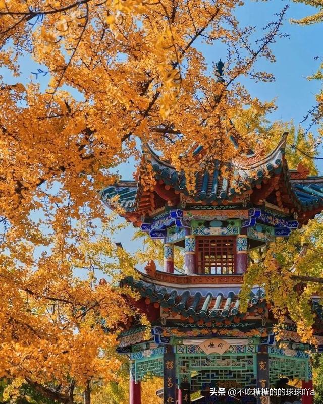 中国被老外“占据”的城市，10多万老外赖着不走！这里没有冬天