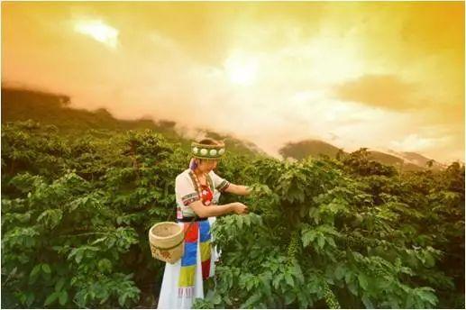 当云上美景遇上红茶和咖啡……彩云之巅云南保山这些美景你见过吗?