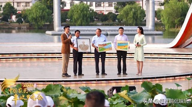 央视丰晚主持人调整,杨帆首秀、任鲁豫尹颂缺席,孟语凡颜值担当