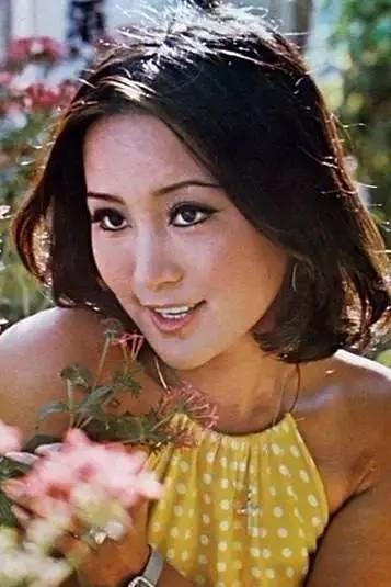 当年香港的风月电影市场谁主沉浮?一批性感女神,谁敢称第一?