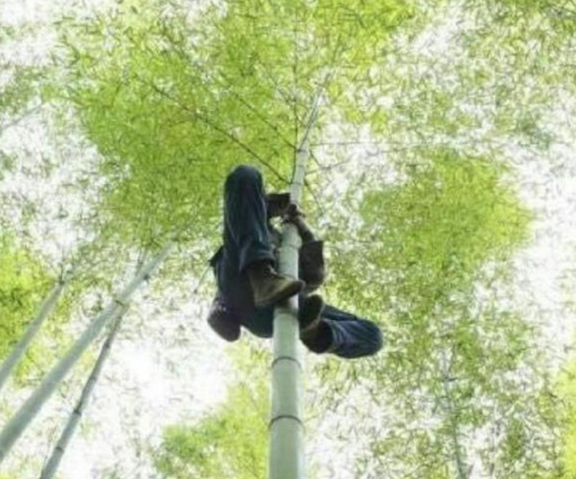 最后的“竹海飞人”:70岁浙江老人踏竹飞行,10米高空如履平地