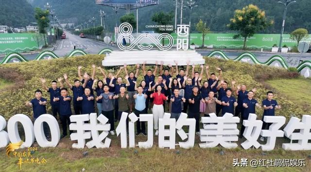 央视丰晚主持人调整,杨帆首秀、任鲁豫尹颂缺席,孟语凡颜值担当