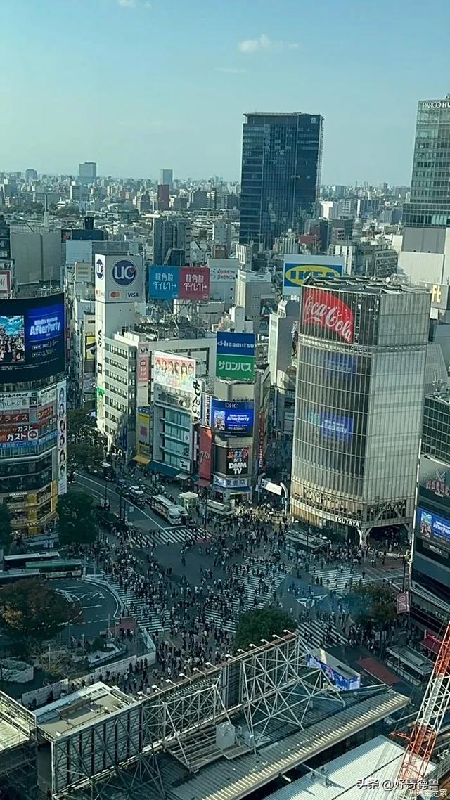 东京热!东京七月中暑死亡123人,杭州热!地表超60℃热出新高度