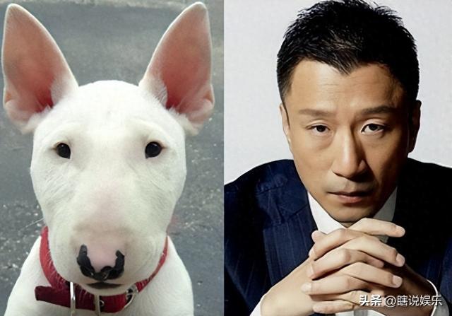孙红雷曾经火遍亚洲,为何沦落到三年无戏可拍,现在他在干什么?