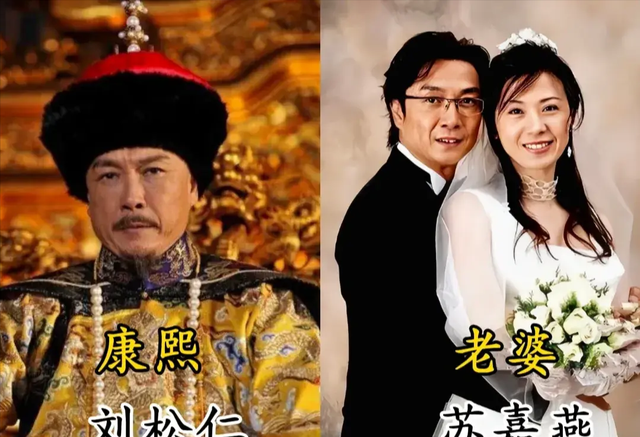 《步步惊心》13年后各位阿哥老婆是谁?老八4年抱3,老十四最厉害