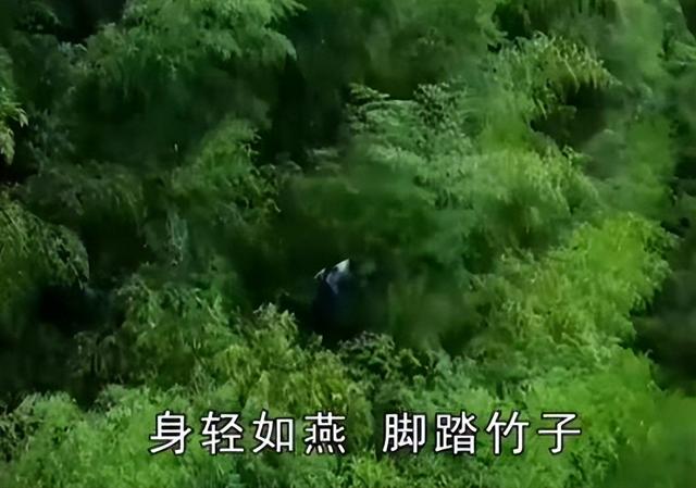 最后的“竹海飞人”:70岁浙江老人踏竹飞行,10米高空如履平地