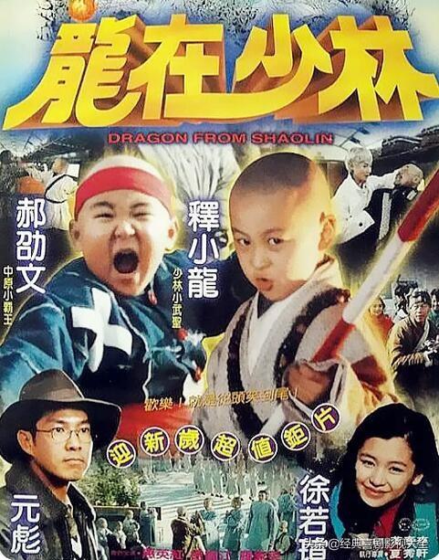 盘点“元彪”主演的16部电影,部部堪称经典,有你没看过的吗?