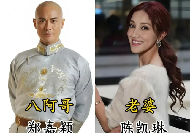 《步步惊心》13年后各位阿哥老婆是谁?老八4年抱3,老十四最厉害