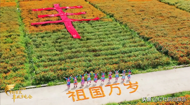 央视丰晚主持人调整,杨帆首秀、任鲁豫尹颂缺席,孟语凡颜值担当