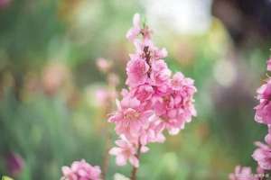 她的睫毛歌词(《她曾来过》)