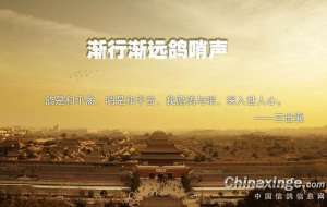 鸽子哨(鸽子背上的风情——鸽哨)