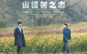 山楂树之恋主题曲(《山楂树之恋》曲由佟潇作词、许舞作曲)