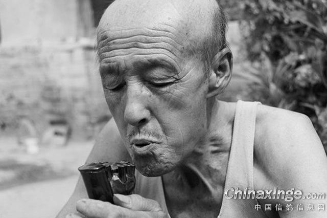 鸽子背上的风情——鸽哨