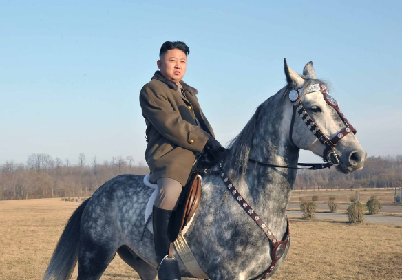 朝鲜“太后”，却是日本制造！金正恩身后的神秘女人：高英姬