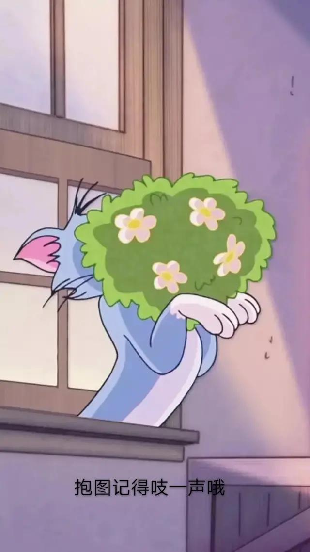 情头:杀生丸大人和玲