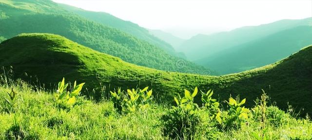 汉字启慧——“身”