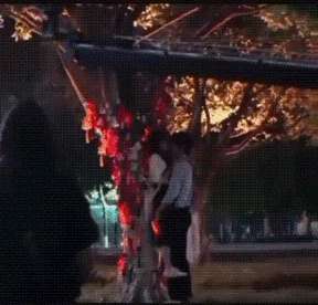 赵佳丽(为啥赵佳丽拿下大众情人宋威龙？我心服口服还想鼓个掌)