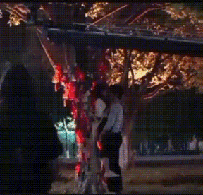 为啥赵佳丽拿下大众情人宋威龙?我心服口服还想鼓个掌