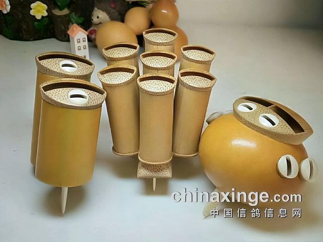 鸽子背上的风情——鸽哨