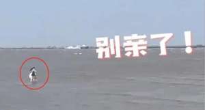 强吻美女(别亲啦小情侣沙滩边忘情热吻不知涨潮，保安急得喊到破音)