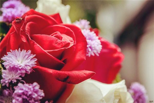 感情的世界里，爱与不爱，只能由你本人决定