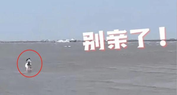 别!亲!啦!小情侣沙滩边忘情热吻不知涨潮,保安急得喊到破音