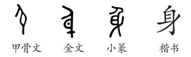 汉字启慧——“身”