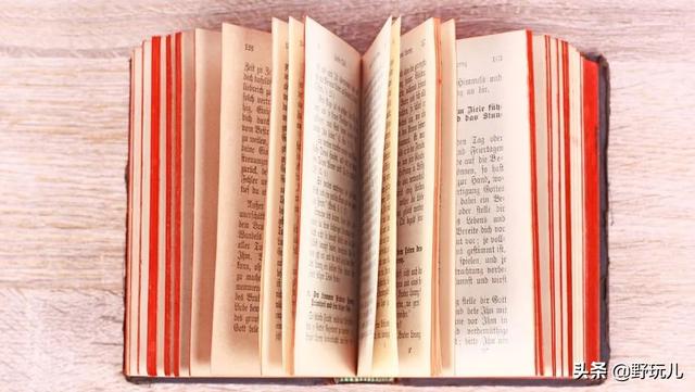 周末特辑:“荒漠求生”揭秘