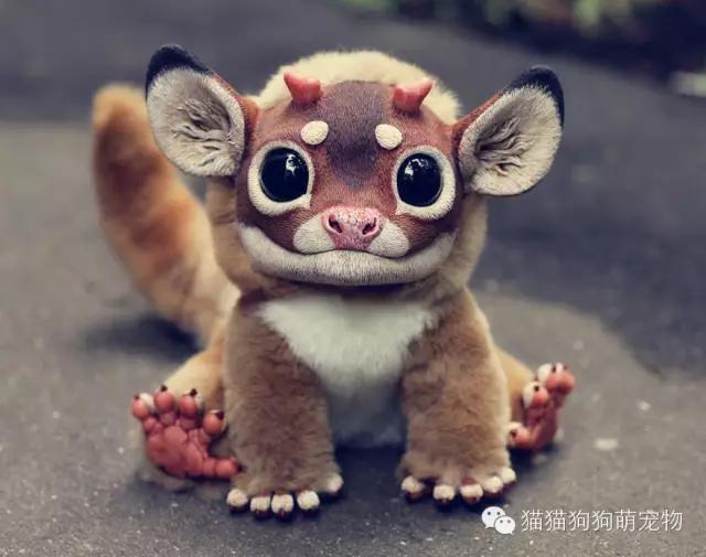 俄罗斯女孩制作的虚构动物玩偶，好逼真！