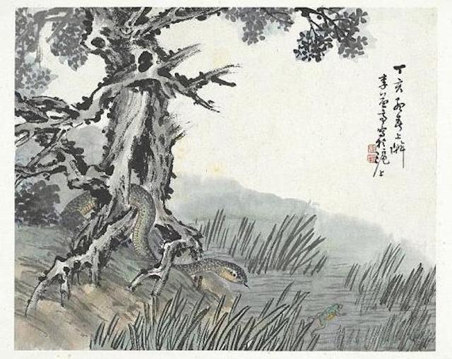 画中蛇瑞|是图腾崇拜,也是游走的线条