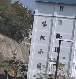 哈批小区(走进“哈批小区”,这个一看名字就让你记住的小区)