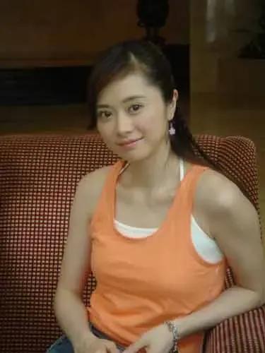 何美钿:从体操女孩到TVB当红花旦的传奇蜕变
