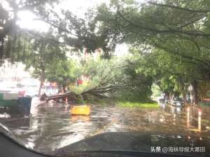 杜苏芮(“杜苏芮”来袭福建史上第二强莆田最新消息)