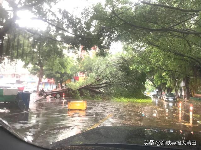 “杜苏芮”来袭!福建史上第二强!莆田最新消息......