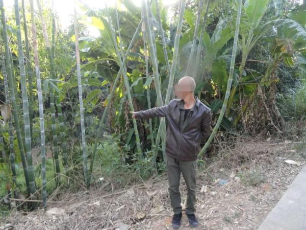 “我抓野鸟又不是吃……”检察官一个细节戳穿嫌疑人谎言