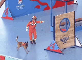 显眼包“二驴”再现赛场!表现如何?