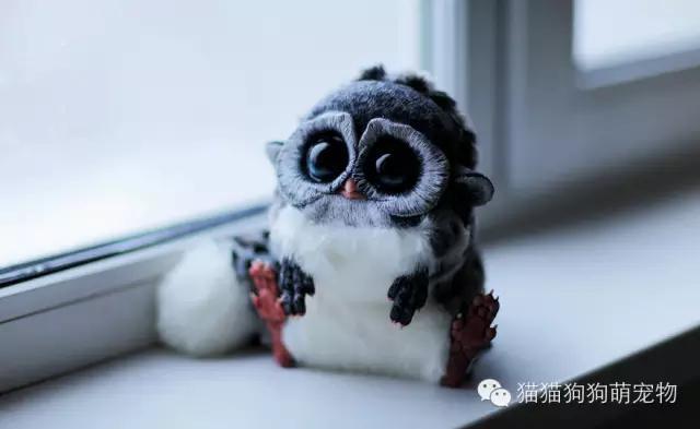 俄罗斯女孩制作的虚构动物玩偶，好逼真！