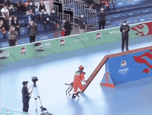 显眼包“二驴”再现赛场!表现如何?