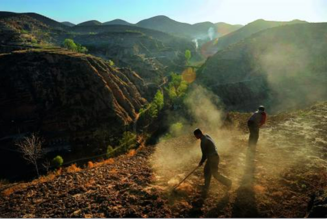 我们为什么要吃米面？南北主食从何而来
