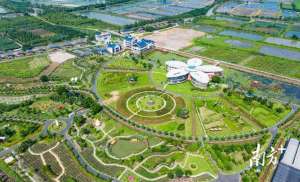 上学堂(南方观察｜珠海村支书“上学堂”)