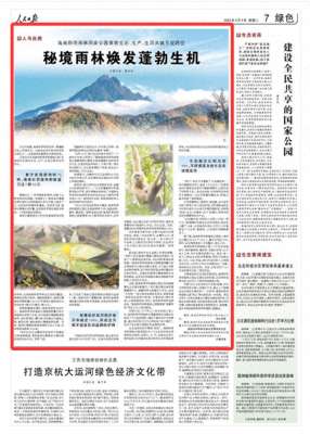 何聪(秘境雨林焕发蓬勃生机（人与自然）)