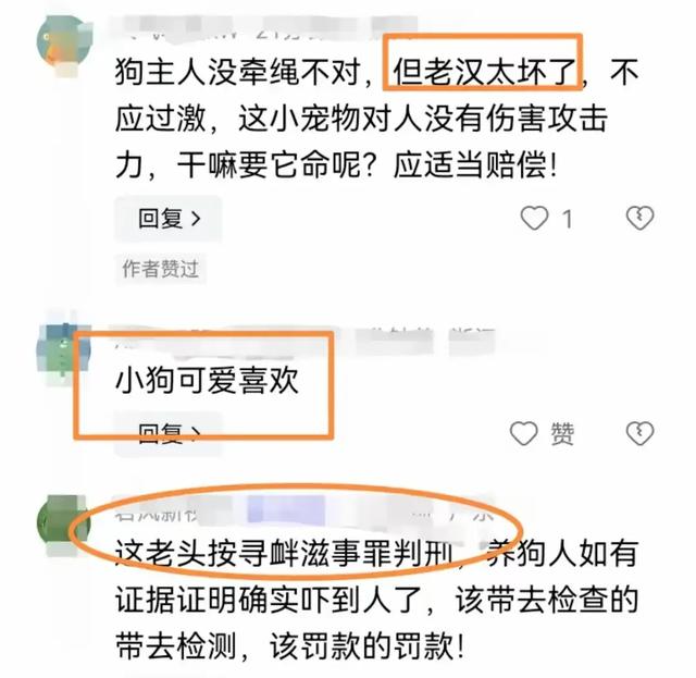 杭州大爷摔狗后续：此狗是价值十几万的名犬，律师发声：无需担责
